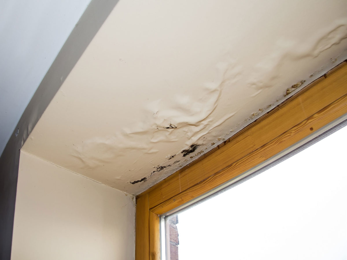 Humidity & Trapped-Moisture Roof Repair commercial roof planning in New Orleans